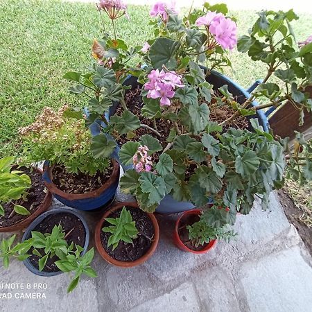 Family Villas Vourvourou Ngoại thất bức ảnh